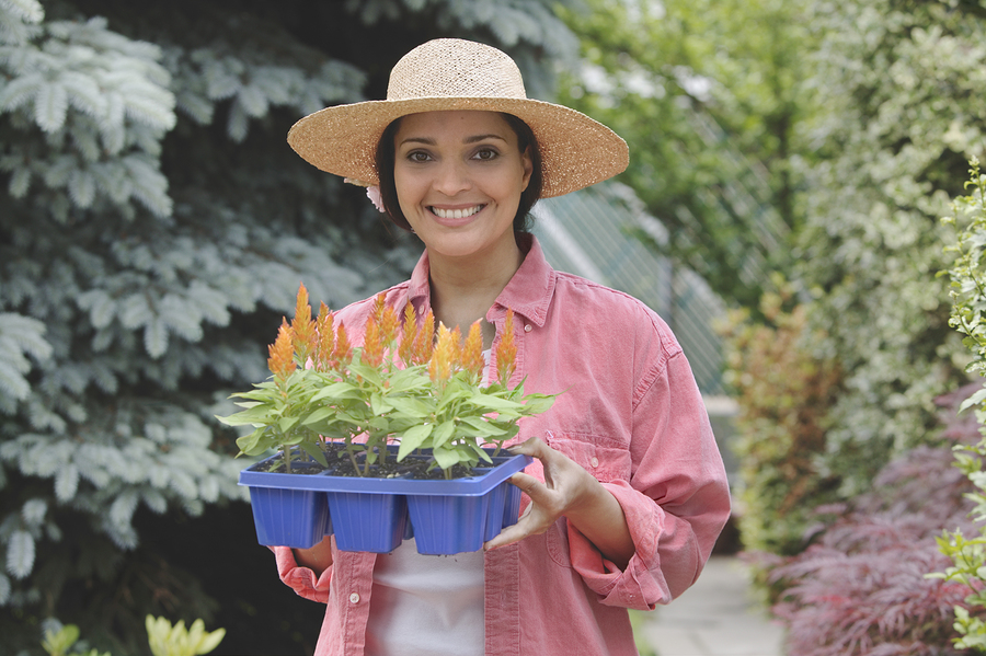 bigstock-young-woman-holding-garden-flo-73046395